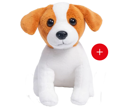 le jack russel